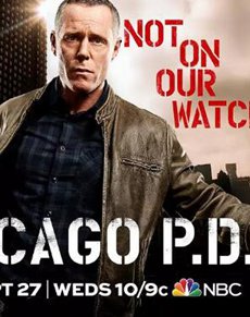 芝加哥警署第五季